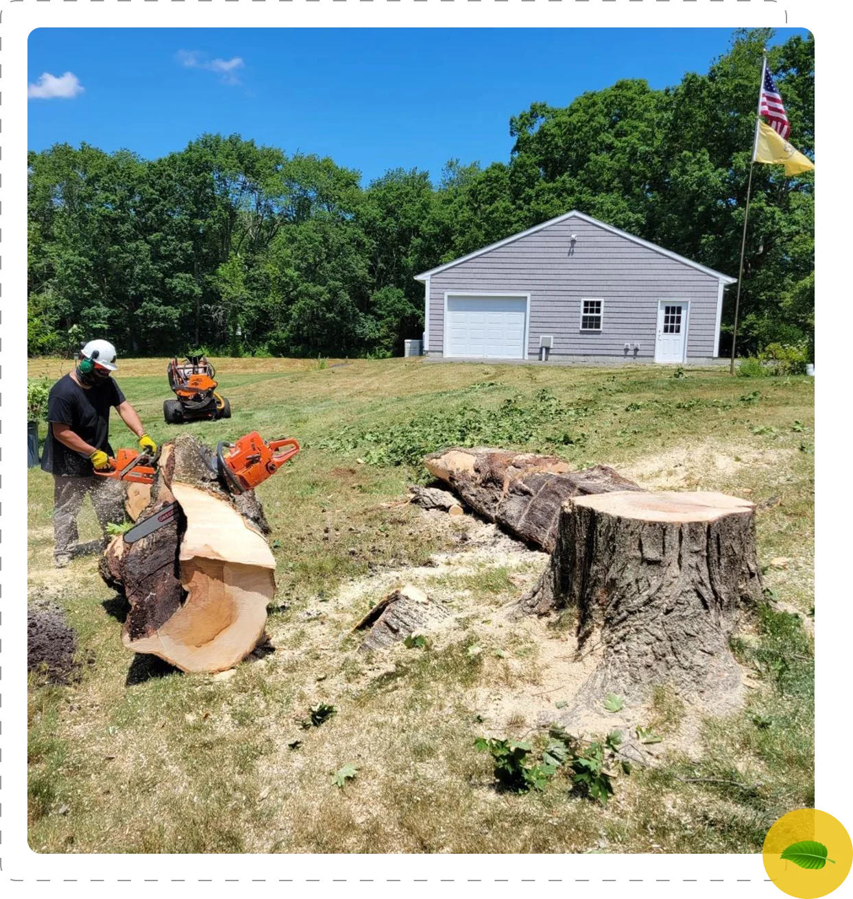 A man is cutting down trees in the yard.