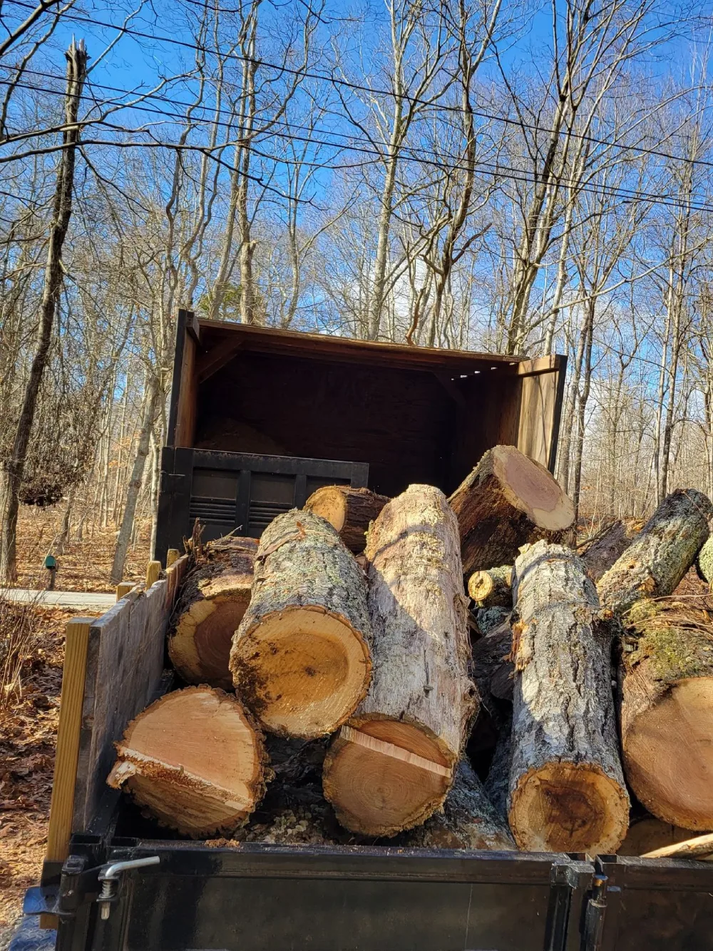 A pile of wood sitting in the woods next to a truck.